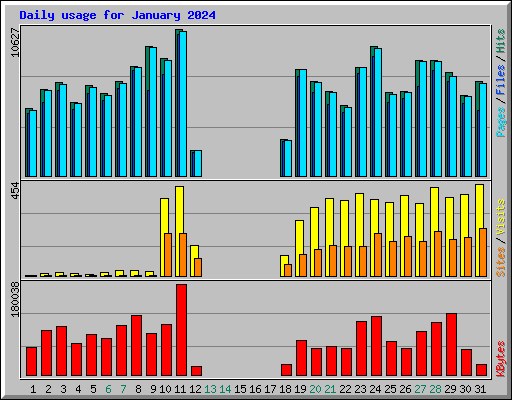 Daily usage for January 2024