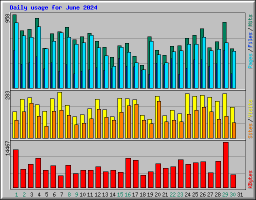 Daily usage for June 2024