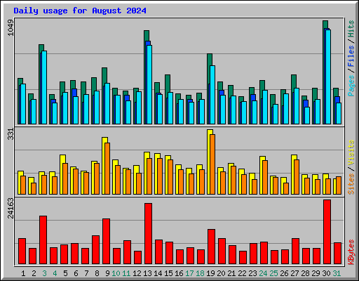 Daily usage for August 2024