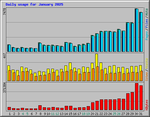 Daily usage for January 2025