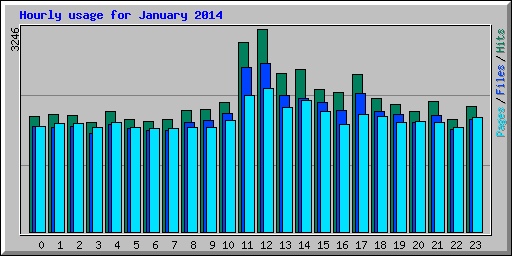 Hourly usage for January 2014