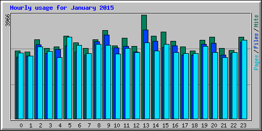 Hourly usage for January 2015