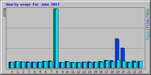 Hourly usage for June 2017