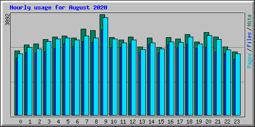 Hourly usage for August 2020