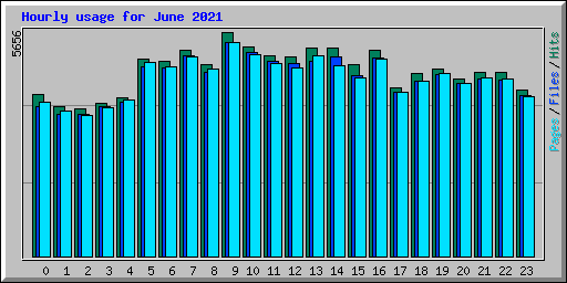 Hourly usage for June 2021