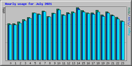 Hourly usage for July 2021