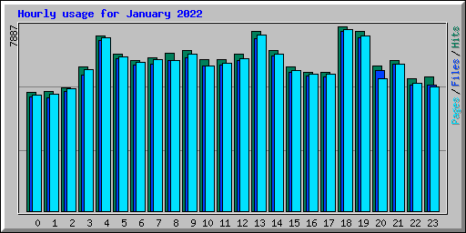 Hourly usage for January 2022