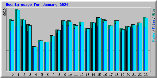 Hourly usage for January 2024