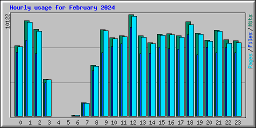 Hourly usage for February 2024