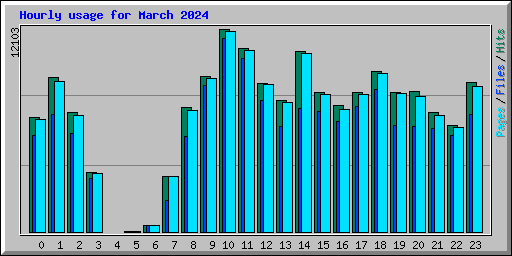 Hourly usage for March 2024