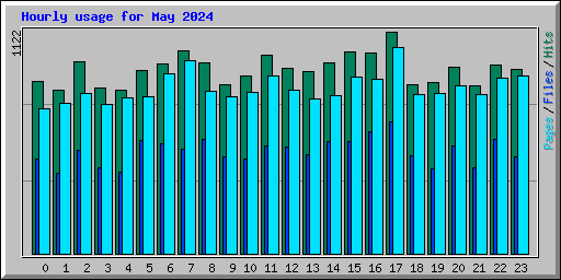 Hourly usage for May 2024