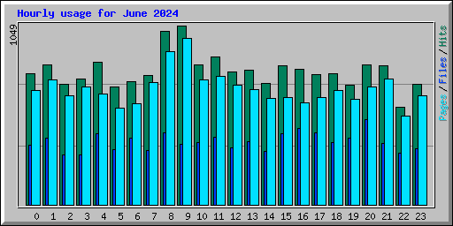 Hourly usage for June 2024