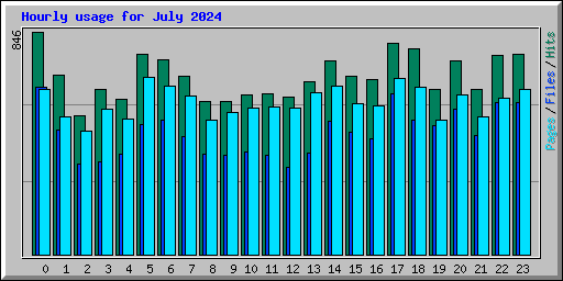 Hourly usage for July 2024