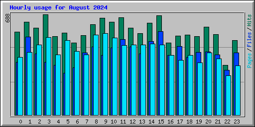 Hourly usage for August 2024