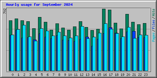 Hourly usage for September 2024