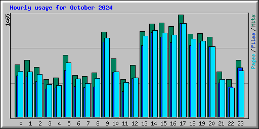 Hourly usage for October 2024