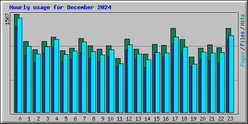 Hourly usage for December 2024