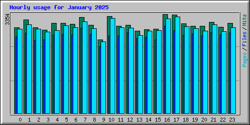 Hourly usage for January 2025