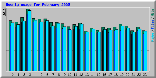 Hourly usage for February 2025