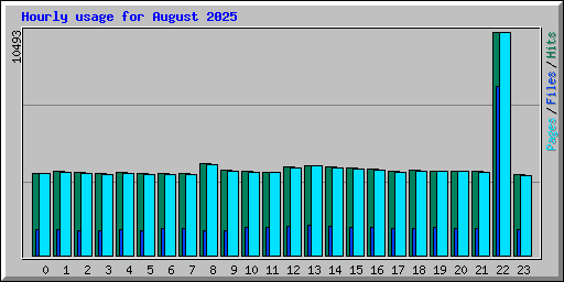 Hourly usage for August 2025