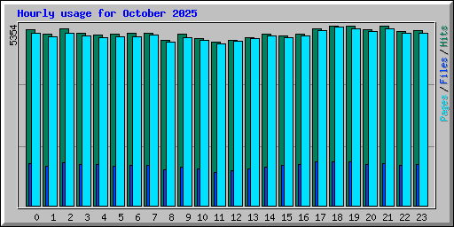 Hourly usage for October 2025