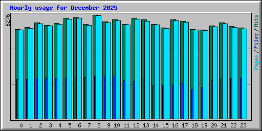 Hourly usage for December 2025