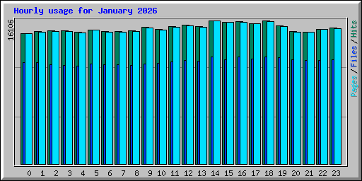 Hourly usage for January 2026