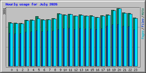 Hourly usage for July 2026